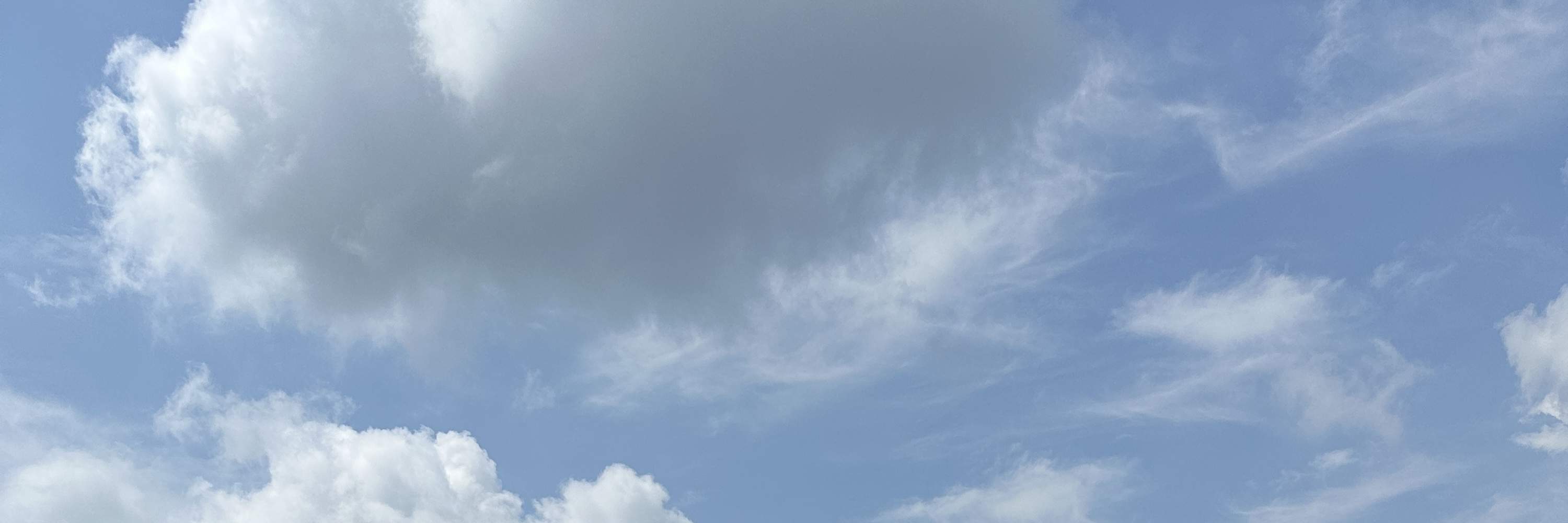 Expérience de conduite de voiture de drift JDM - Visite privée Tokyo Drift Daikoku